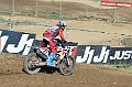 _ROB6939 (Copy)